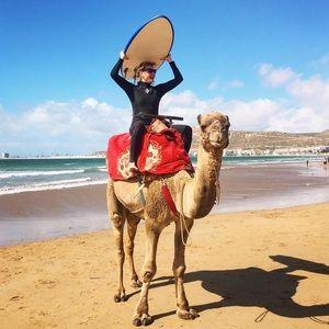 Meet your Posher, Taylor